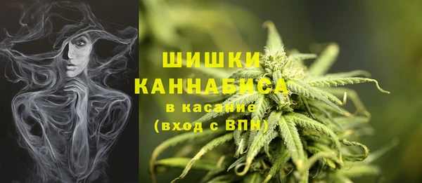 прущие грибы Вязники