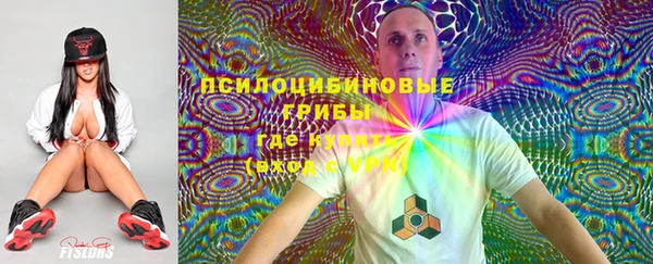 прущие грибы Вязники