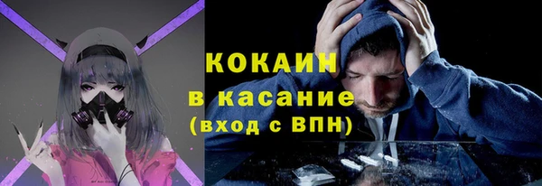 прущие грибы Вязники