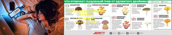 Альфа ПВП Ступино