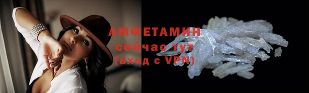 прущие грибы Вязники